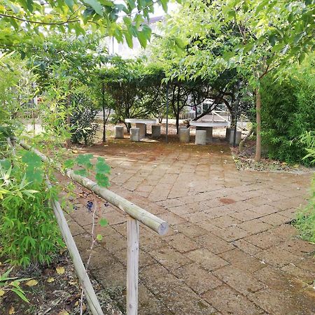 Azienda Agrituristica Le Betulle Riotorto Ngoại thất bức ảnh