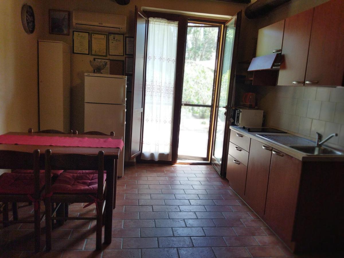 Azienda Agrituristica Le Betulle Riotorto Ngoại thất bức ảnh