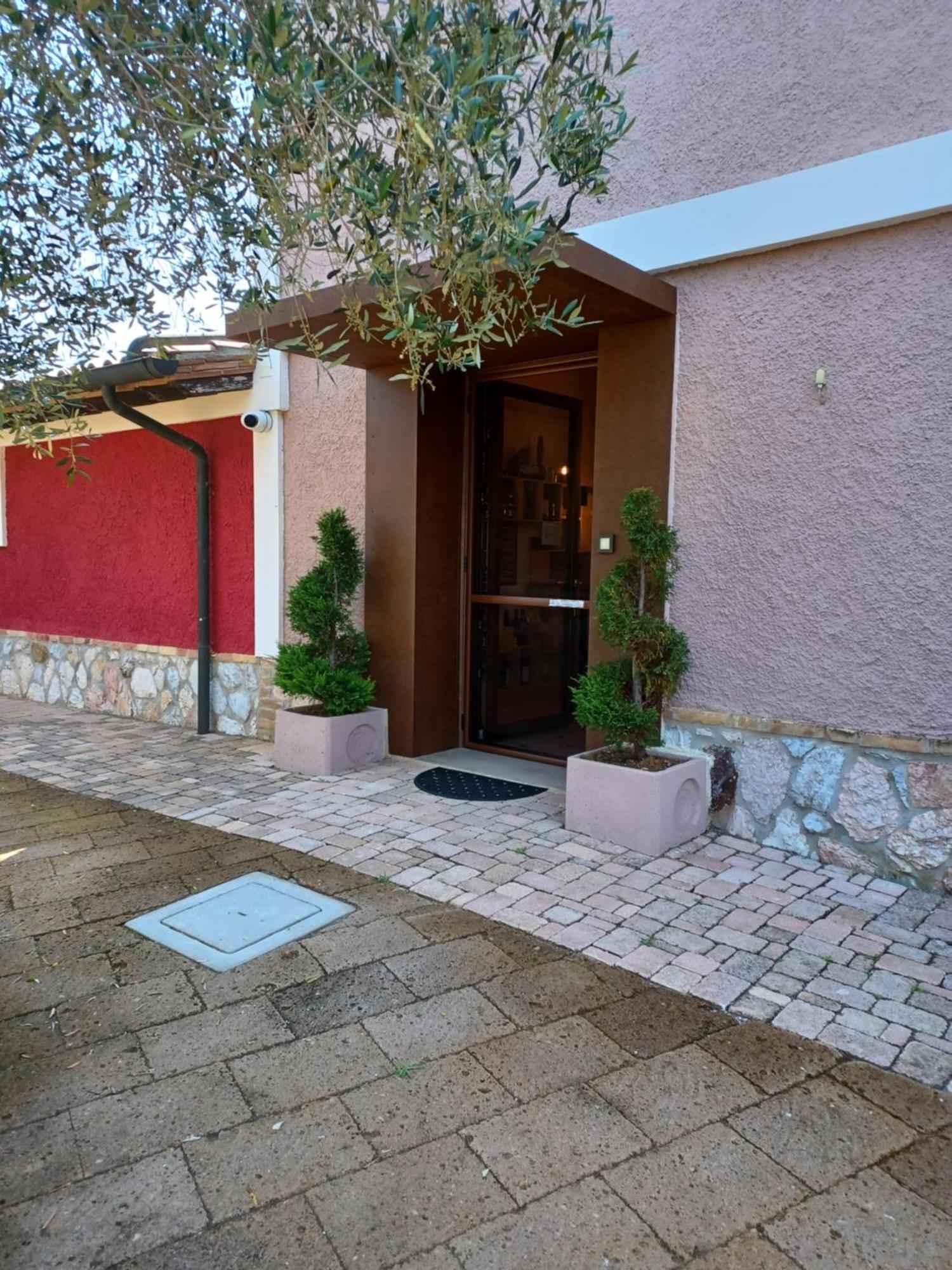 Azienda Agrituristica Le Betulle Riotorto Ngoại thất bức ảnh
