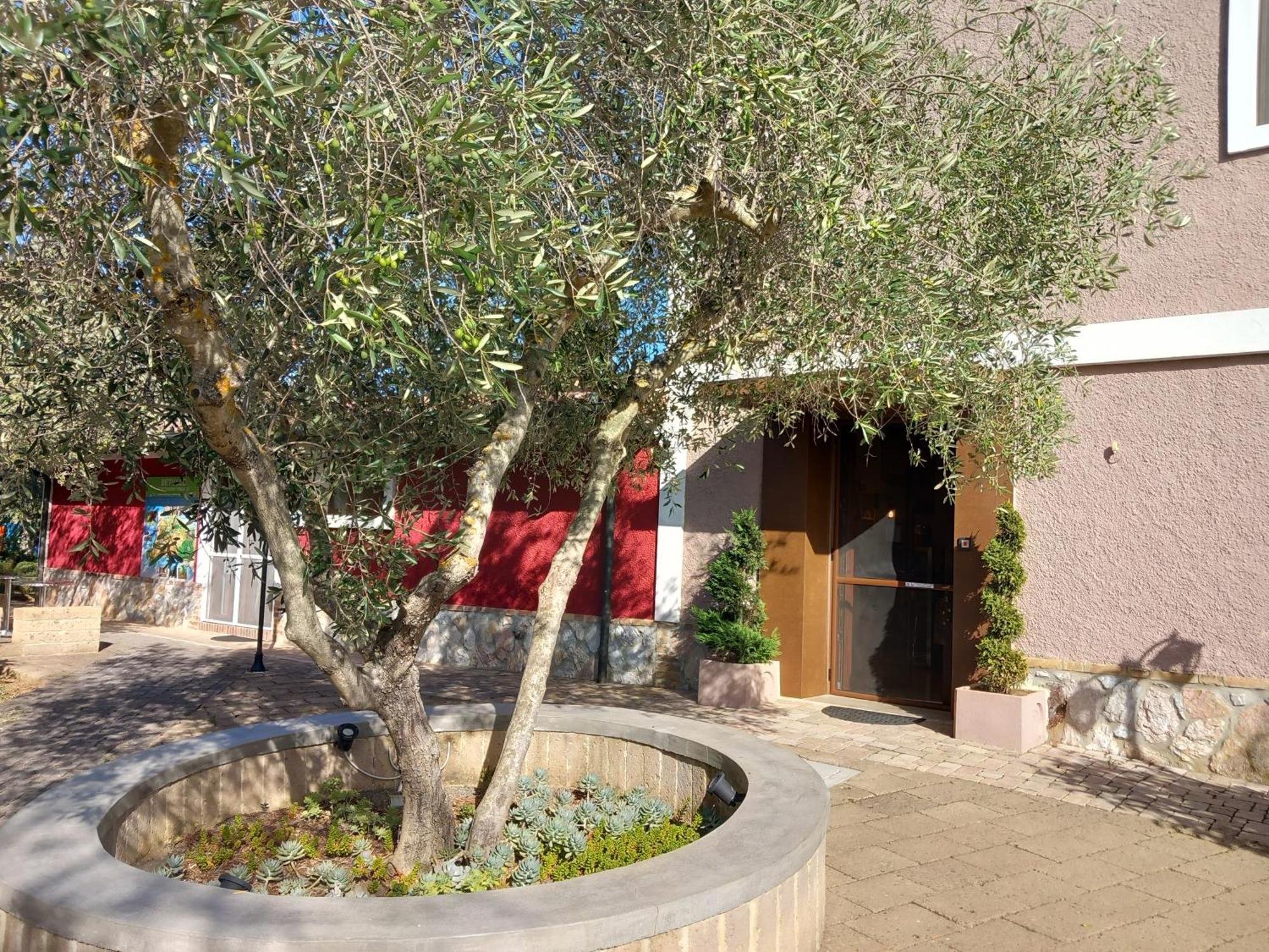 Azienda Agrituristica Le Betulle Riotorto Ngoại thất bức ảnh