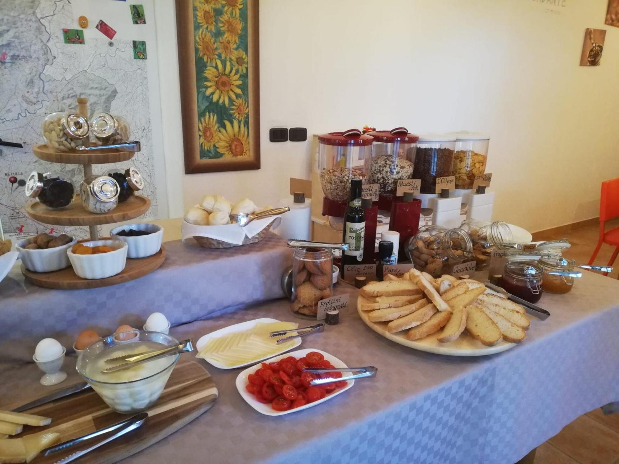 Azienda Agrituristica Le Betulle Riotorto Ngoại thất bức ảnh