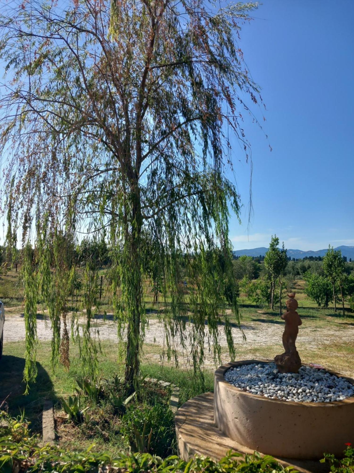 Azienda Agrituristica Le Betulle Riotorto Ngoại thất bức ảnh