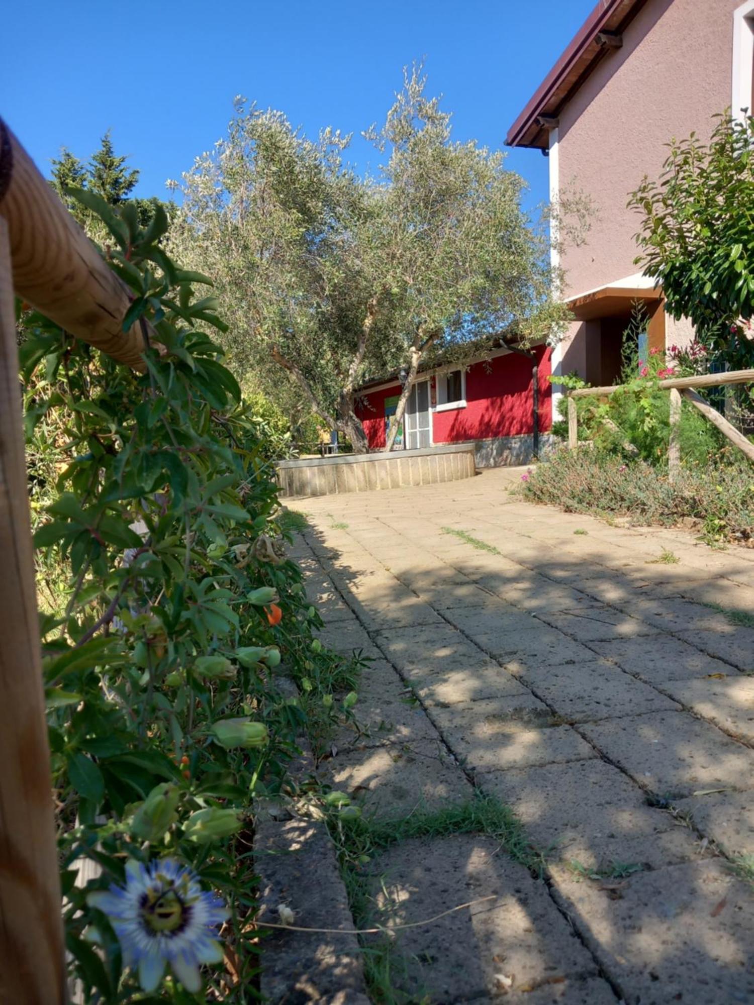 Azienda Agrituristica Le Betulle Riotorto Ngoại thất bức ảnh