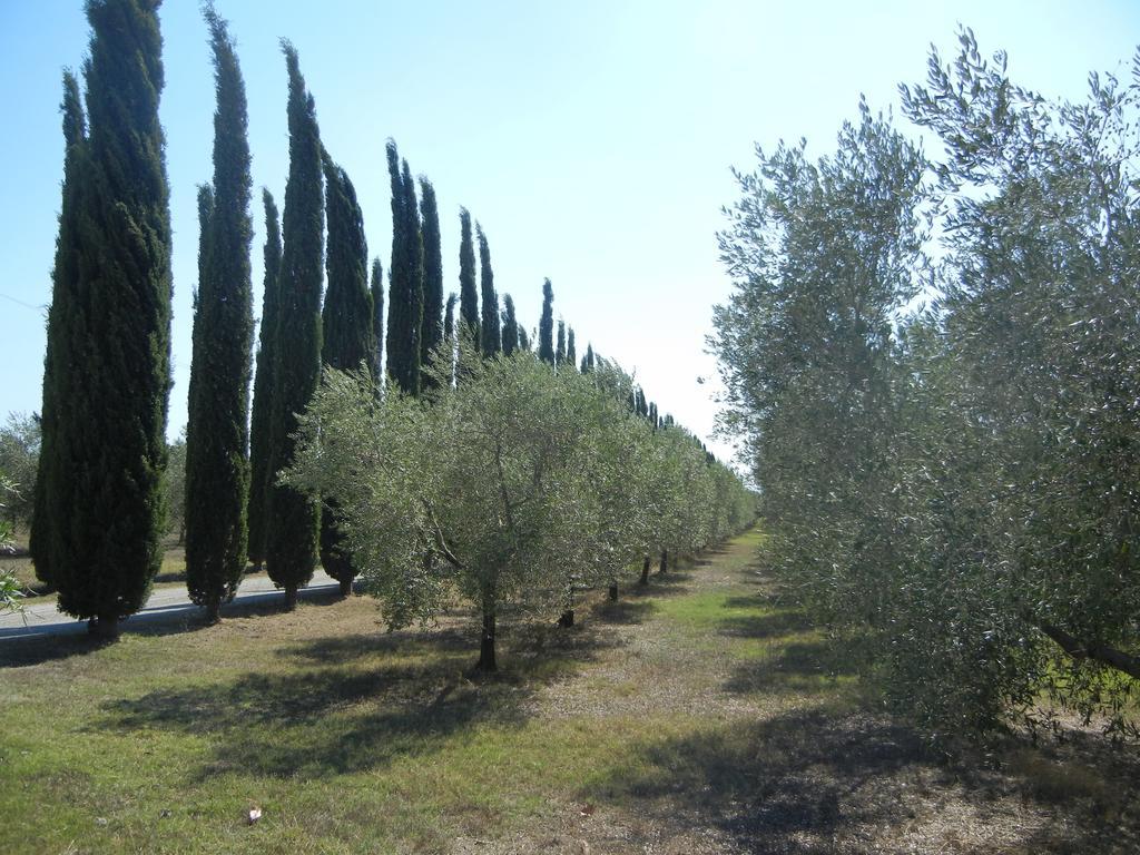 Azienda Agrituristica Le Betulle Riotorto Ngoại thất bức ảnh