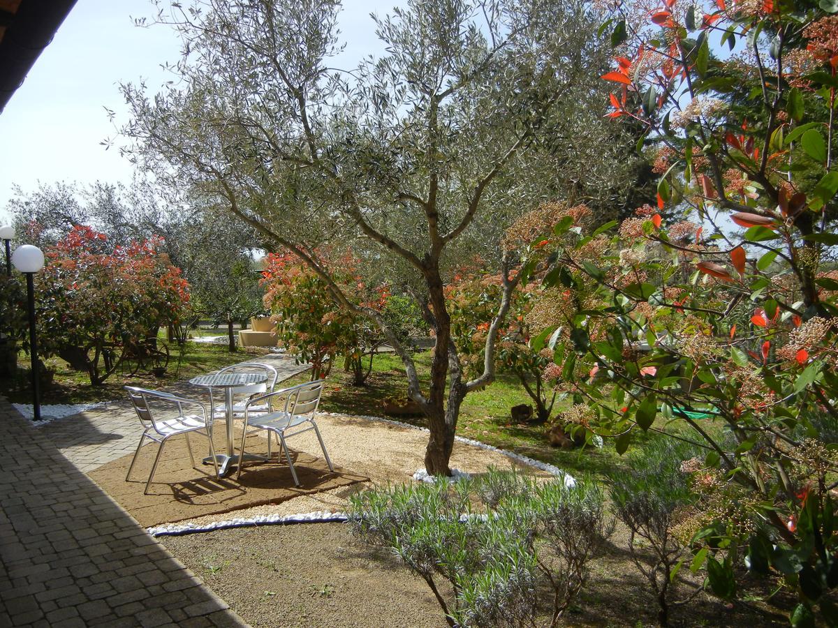 Azienda Agrituristica Le Betulle Riotorto Ngoại thất bức ảnh